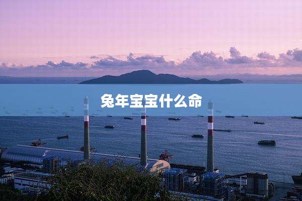 兔年宝宝什么命