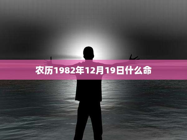 农历1982年12月19日什么命