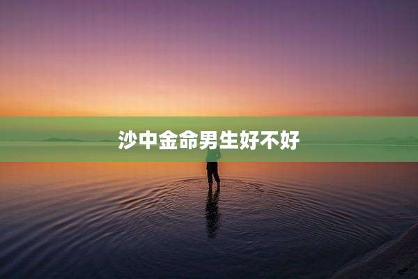 沙中金命男生好不好