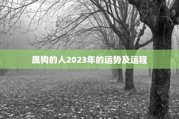 属狗的人2023年的运势及运程