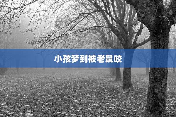 小孩梦到被老鼠咬