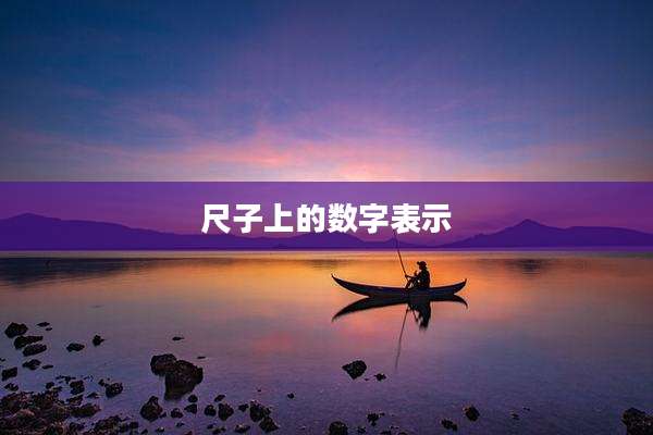 尺子上的数字表示