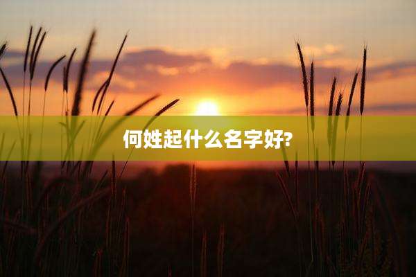 何姓起什么名字好?