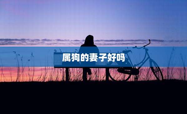 属狗的妻子好吗