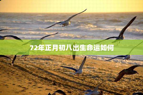 72年正月初八出生命运如何