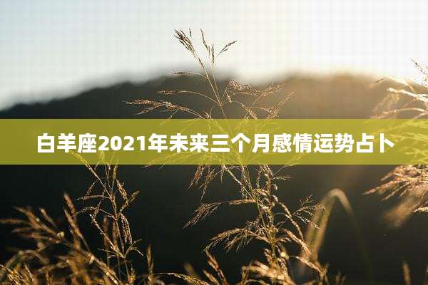 白羊座2021年未来三个月感情运势占卜