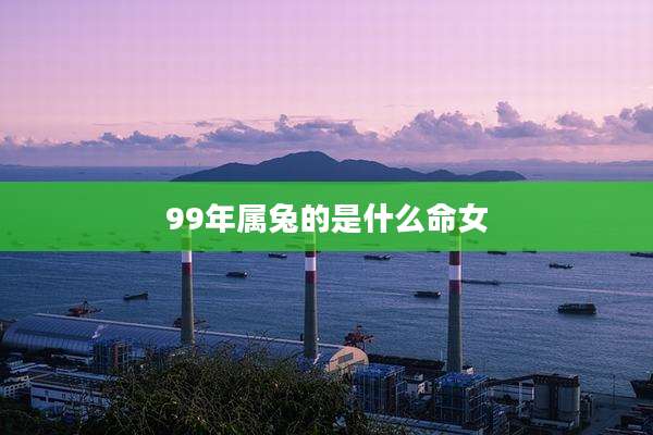99年属兔的是什么命女