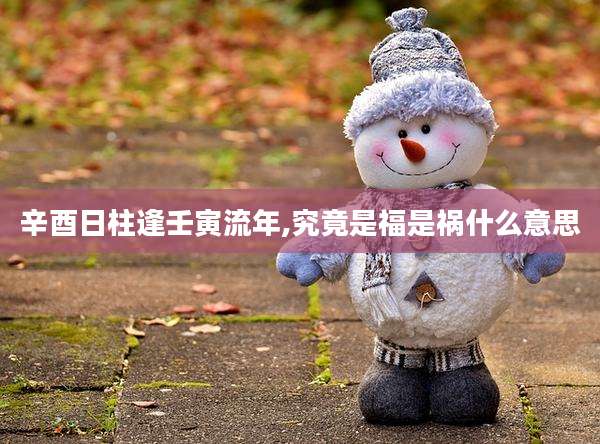 辛酉日柱逢壬寅流年,究竟是福是祸什么意思