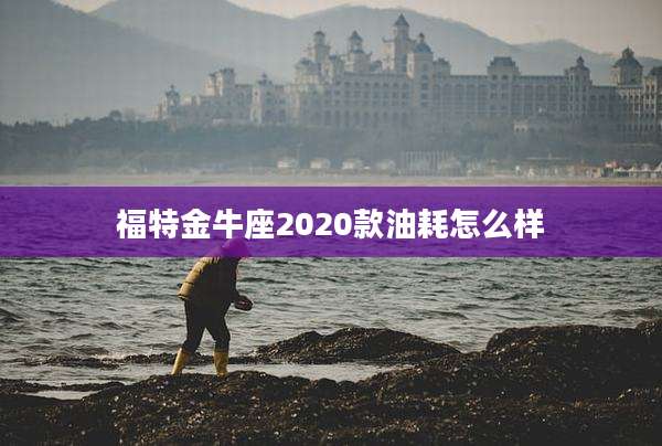 福特金牛座2020款油耗怎么样