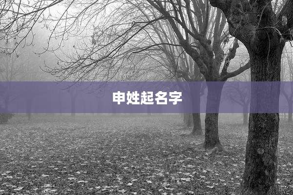 申姓起名字