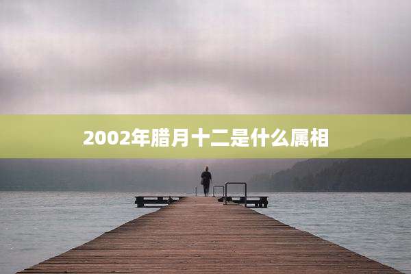 2002年腊月十二是什么属相