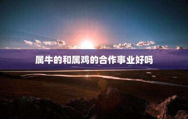 属牛的和属鸡的合作事业好吗