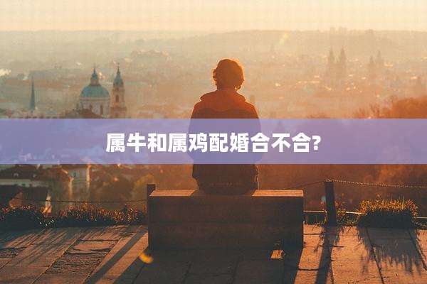 属牛和属鸡配婚合不合?
