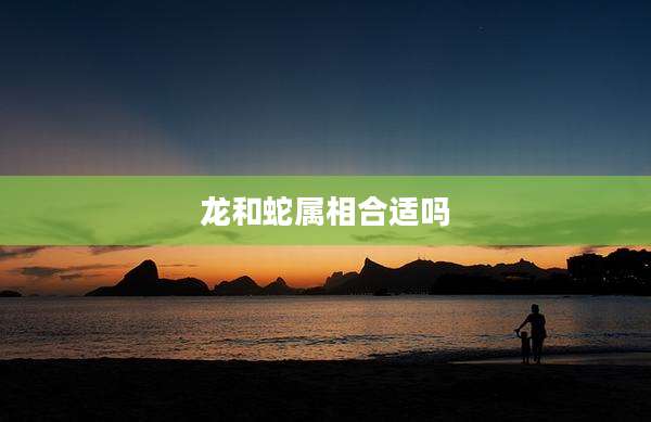 龙和蛇属相合适吗