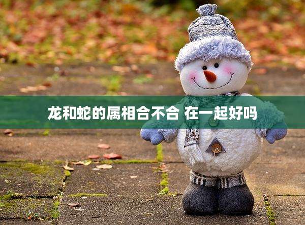 龙和蛇的属相合不合 在一起好吗
