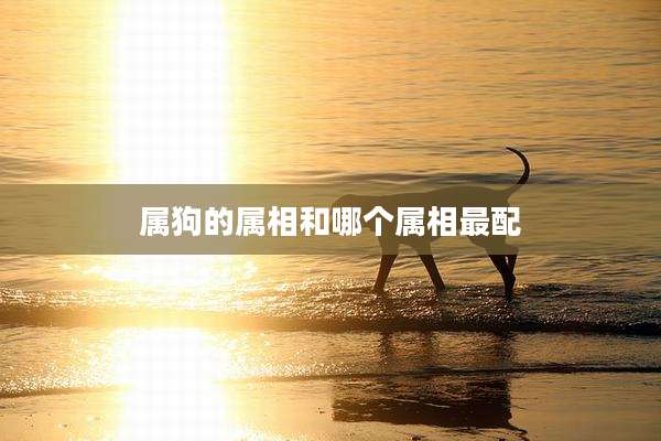 属狗的属相和哪个属相最配