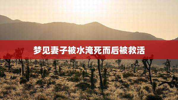 梦见妻子被水淹死而后被救活