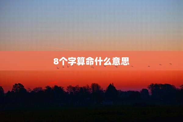 8个字算命什么意思