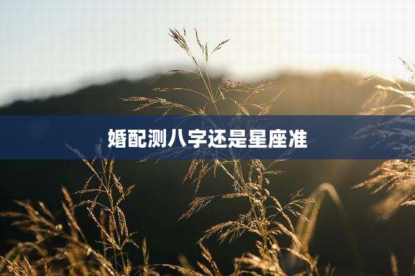婚配测八字还是星座准