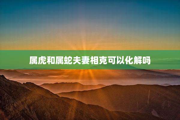 属虎和属蛇夫妻相克可以化解吗