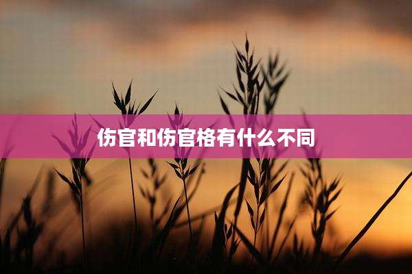 伤官和伤官格有什么不同