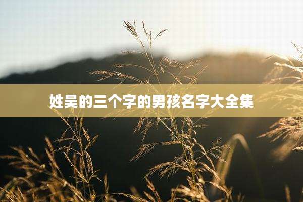 姓吴的三个字的男孩名字大全集