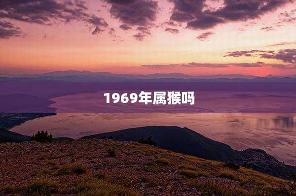 1969年属猴吗