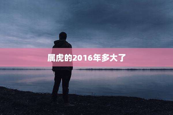 属虎的2016年多大了