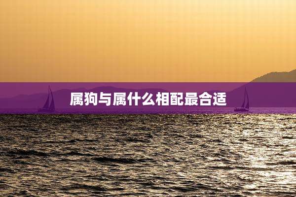 属狗与属什么相配最合适