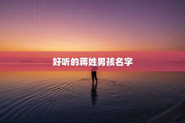 好听的蒋姓男孩名字