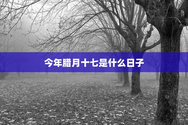 今年腊月十七是什么日子