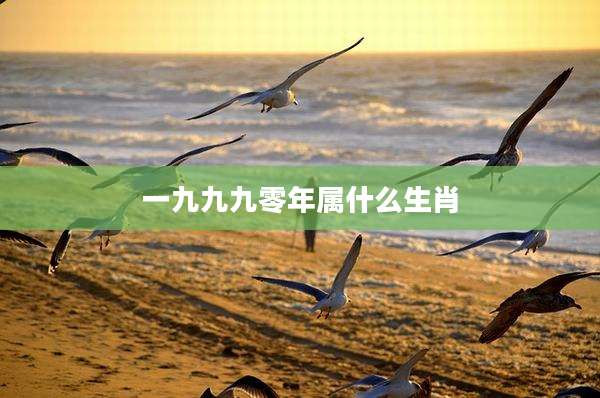 一九九九零年属什么生肖