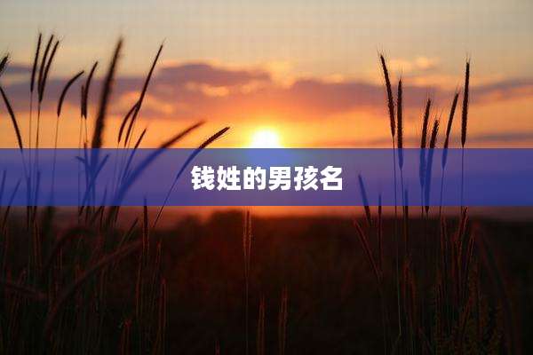 钱姓的男孩名