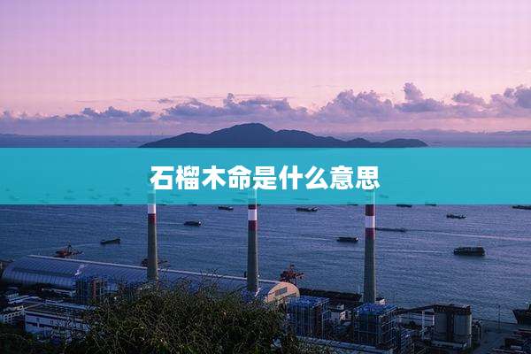 石榴木命是什么意思