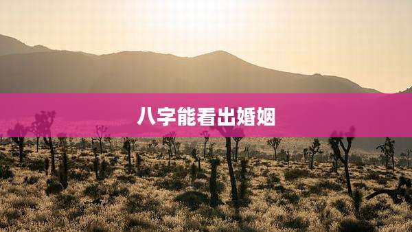 八字能看出婚姻
