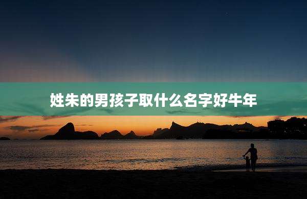 姓朱的男孩子取什么名字好牛年