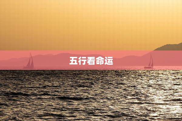 五行看命运