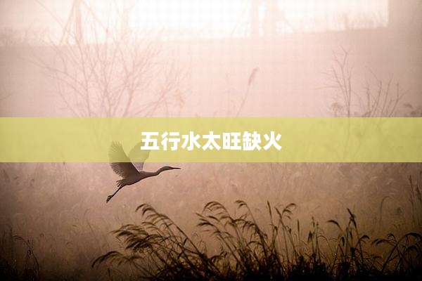 五行水太旺缺火