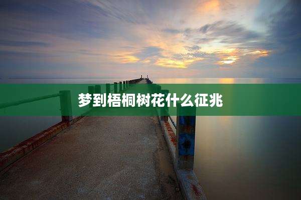 梦到梧桐树花什么征兆