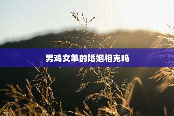 男鸡女羊的婚姻相克吗