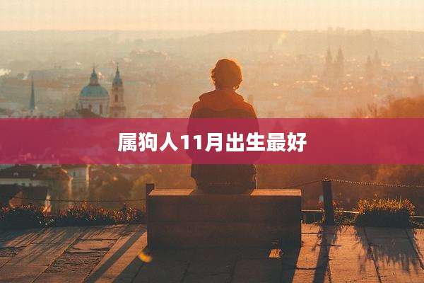 属狗人11月出生最好