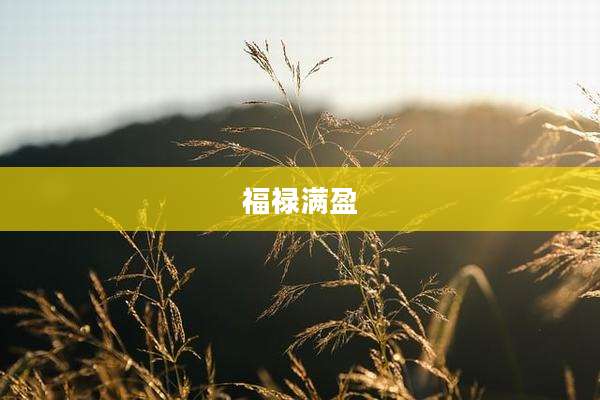 福禄满盈