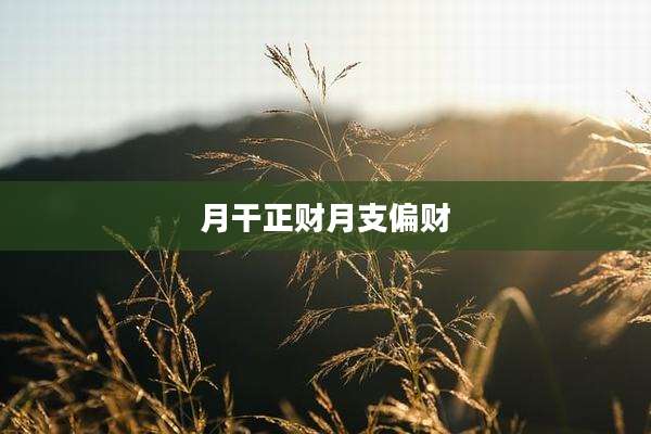 月干正财月支偏财