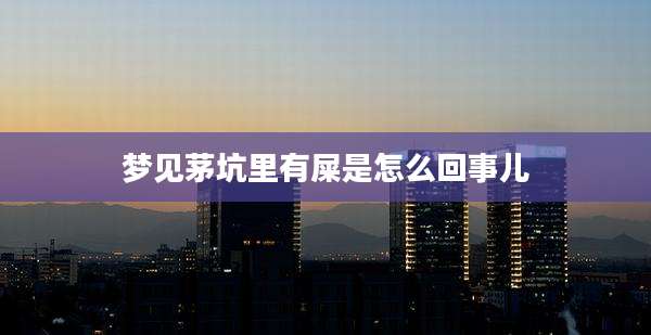 梦见茅坑里有屎是怎么回事儿