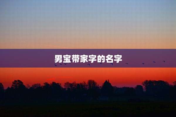 男宝带家字的名字