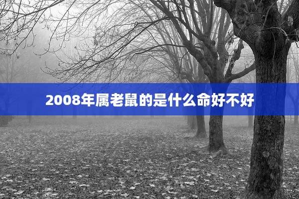 2008年属老鼠的是什么命好不好