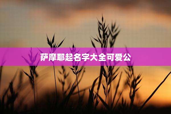 萨摩耶起名字大全可爱公