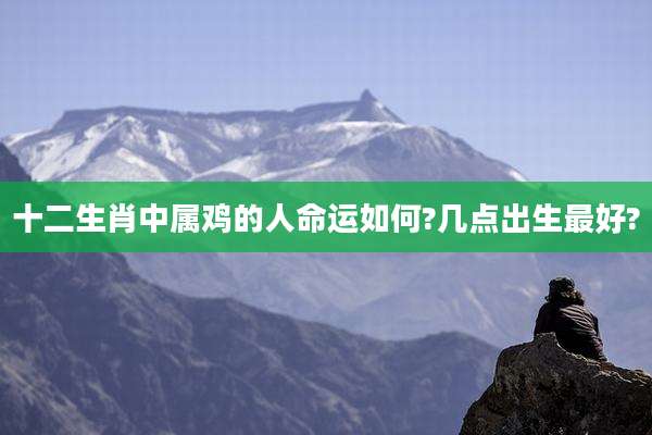 十二生肖中属鸡的人命运如何?几点出生最好?