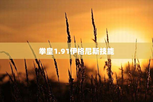 拳皇1.91伊格尼斯技能