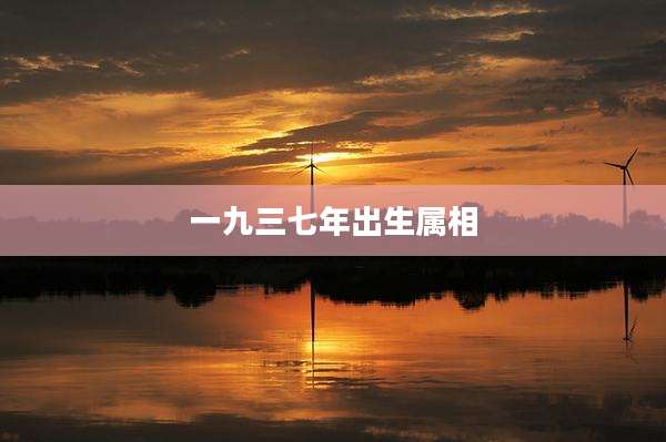 一九三七年出生属相